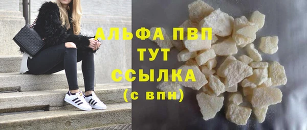 a pvp Бородино