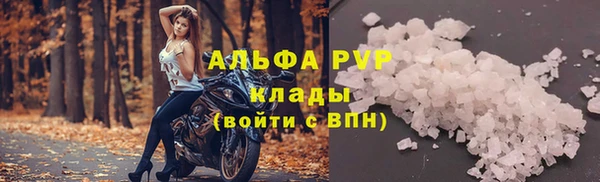 сатива Белоозёрский