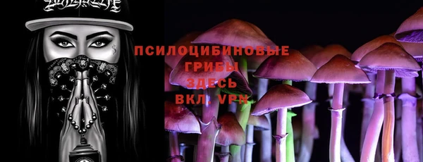 apvp Беломорск