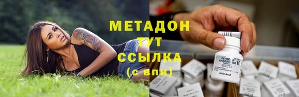 гидра Богданович