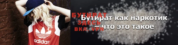 гидра Богданович