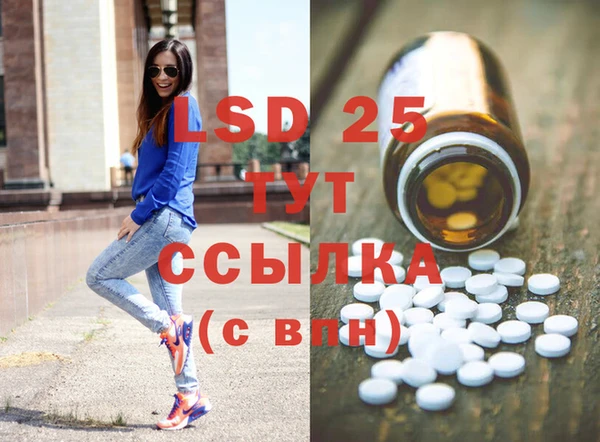 гидра Богданович