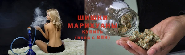 гидра Богданович