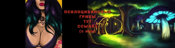 меф Богородск