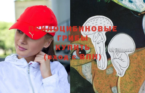 дурь Белокуриха